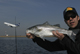 Striper Jet